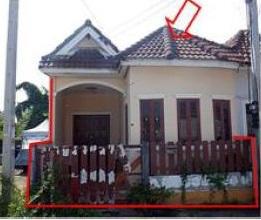 ต้นมะม่วง เมืองเพชรบุรี เพชรบุรี