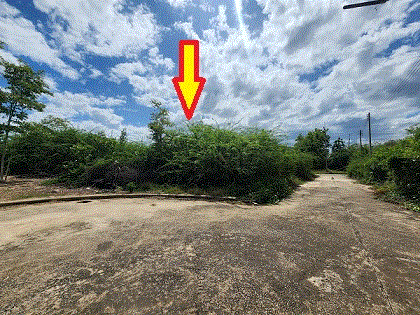 ที่ดินหลุดจำนอง ธ.ธนาคารกรุงเทพ ชะอำ ชะอำ เพชรบุรี